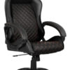 Silla Profesional Gamer Cougar Fusion Black Progaming