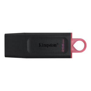 Pendrive Kingston Exodia 256GB USB 3.2 DTX/256GB