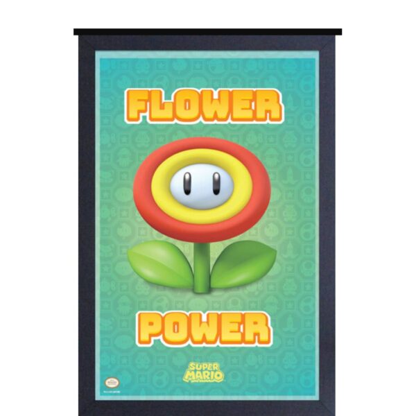 Cuadro Mario Bros Flower Power 470x315x15