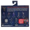 D&D Icons of the Realms: Baldur's Gate 3 Character Boxed Set - Imagen 3