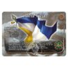 Display 24 Sobres Libertadores Imperio MyL - Imagen 7