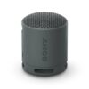 Parlante Portátil Sony SRS-XB100 Negro