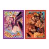 Protector One Piece Official Sleeves Vol. 5 - Portgas D. Ace - Imagen 3